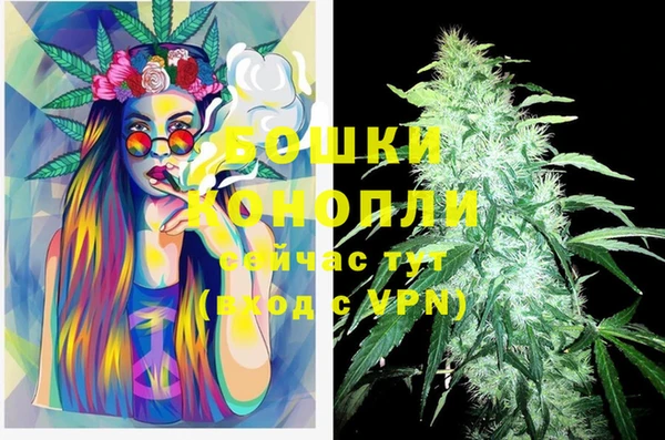 мдпв Нея