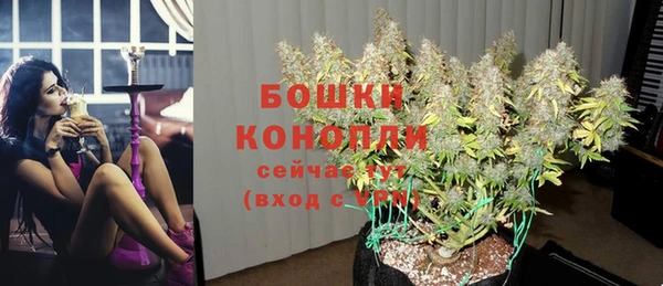 COCAINE Новодвинск
