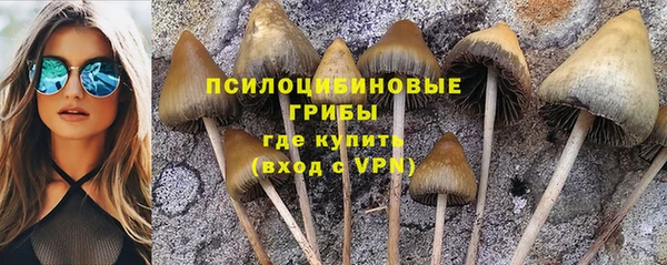 синтетический гашиш Нефтекумск