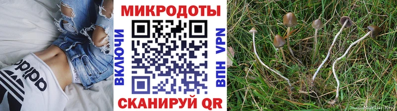 Псилоцибиновые грибы MAGIC MUSHROOMS Кропоткин