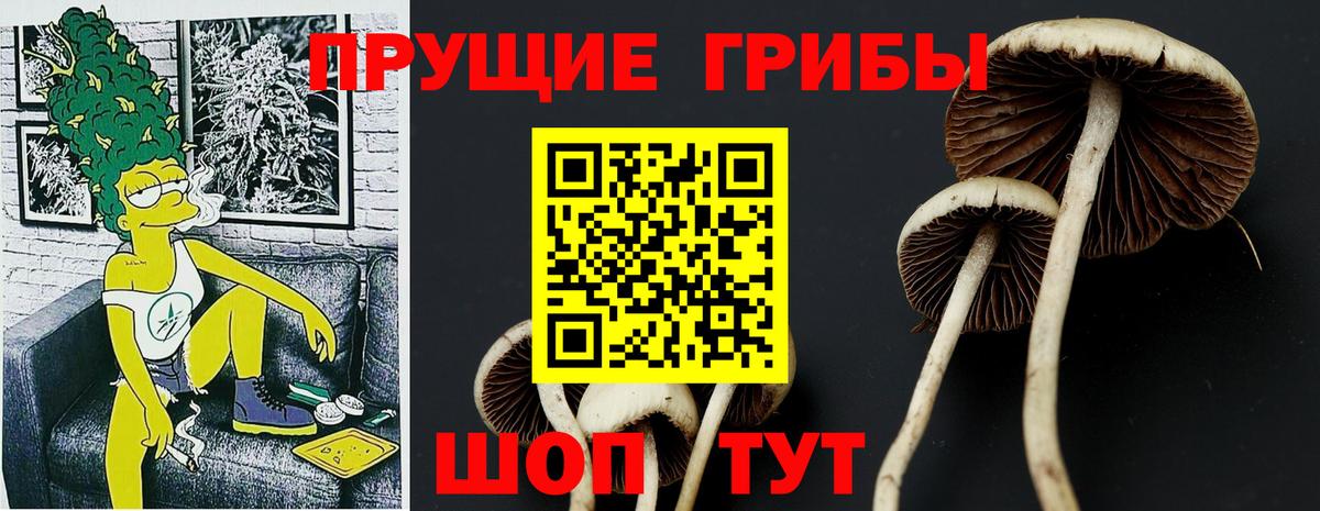 Кропоткин  Галлюциногенные грибы Magic Shrooms  Вход с VPN 