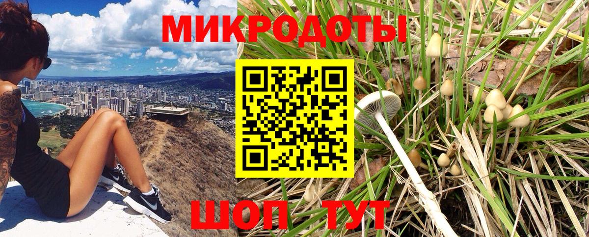 Галлюциногенные грибы мицелий Кропоткин